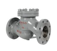 Clapet anti-retour à bride en acier moulé H41H-16/25C DN80 100(DN40)