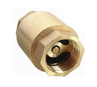 Clapet anti-retour à ressort 1,9 cm en laiton pour eau, huile, vapeur et autres supports (DN20)