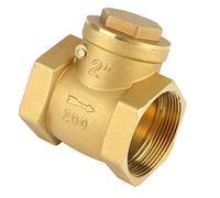 Clapet Anti Retour DN50 en Laiton, Raccord Femelle 2" BSP, Pression 232PSI - Valve à Battant Durable, Installation Facile, Protection Anti Reflux d'Eau