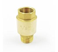 Clapet anti-retour en laiton à filetage G pour systèmes d'alimentation en eau et d'irrigation avec prévention fiable du refoulement et connexion filetée pour l'intégration des tuyaux (intérieur 1/2
