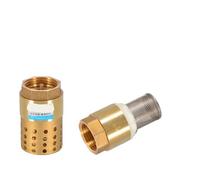 Clapet anti-retour en laiton à filetage interne BSPP, 1 pièce, 1/2 "3/4" 1 "2" BSPP, avec filtre en acier DN15 DN25 DN40 for pompe à eau(1 Steel mesh)