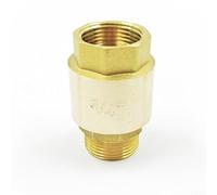 Clapet anti-retour en laiton avec filetage G pour systèmes d'alimentation en eau et d'irrigation, conçu avec un mécanisme de levage à disque unique pour maintenir un débit d'eau unidirectionnel