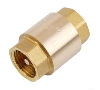 Clapet anti-retour en laiton avec joints testés pour une distribution d'eau sûre et propre sans refoulement (1,27 cm)