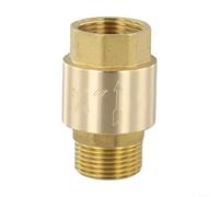 Clapet anti-retour en laiton, conçu pour la prévention du refoulement dans les systèmes de carburant, d'air, d'huile et de gaz (1,9 cm)