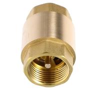 Clapet Anti-retour en Laiton Dn20 0,78in pour Eau | Transfert de Liquide, Fermeture Automatique, Raccord Rapide, pour Entrée Compteur et Réseau Industriel