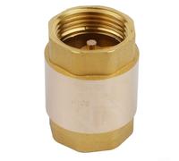 Clapet anti-retour en laiton pour système d'eau 1 pouce - Empêche le reflux de liquide - Pour pompes et tuyaux (2,5 cm)