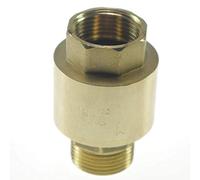 Clapet anti-retour en ligne BSPP femelle mâle 3/4 po en laiton - Dispositif à ressort durable for le contrôle du débit d'eau 1 pièce
