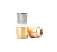 Clapet anti-retour femelle en laiton DN15/DN20/DN25, 2 pièces, avec filtre en acier, for pompe à eau et plomberie(0.75 Inch)