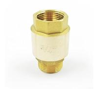 Clapet anti-retour fileté en laiton avec filetage G pour l'approvisionnement en eau et l'irrigation, conçu pour bloquer le flux inverse et maintenir l'efficacité du système (extérieur 3/4-185 g)