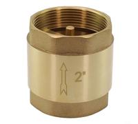 Clapet anti-retour fileté en laiton conçu pour le contrôle du gaz liquide et de l'huile avec fonction anti-retour et mécanisme à ressort en acier inoxydable (5,1 cm)