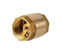 Clapet anti-retour NPT robuste en métal durable, filetage femelle, for la régulation de l'eau et protection contre le refoulement dans les systèmes d'aquarium(DN15 G1-2)