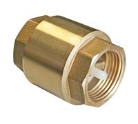 Clapet anti-retour Pronorm 1"
