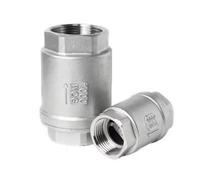 Clapet Anti-retour Unidirectionnel Anti-retour 1/4” 3/8" 1/2“ 3/4”BSPT Stainless Steel SS304 Vertical Lift In Line Spring Check Valve DN8 DN10 DN15 DN20(2PCS_1/4”)