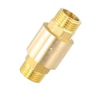 Clapet anti-retour vertical DN15 DN25 en laiton, connexion filetée G pour une intégration facile dans les systèmes d'eau, valve de refoulement et fuite (1/2-115 g)