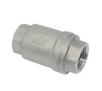 Clapet anti-retour vertical en acier inoxydable 304 H12 Pompe à eau 1/2 3/4 1-1/2 3-1/4 1" Valve unidirectionnelle DN15/20/25/32/40/50 (1/2")