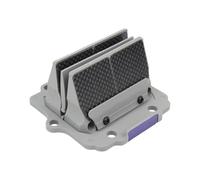 Clapet d admission Convient pour Kawasaki KR150 125CC 250CC KX125 KDX125 KMX125 ZX150 KX250 KMX500 moto moto soupape d'admission combinaison Clapet à clapet