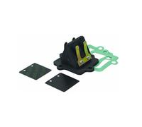 Clapet D Admission Polini Pour Scooter Malaguti 50 F12 Avant 2020 Neuf