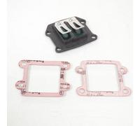 Clapet D Admission Polini Pour Scooter Yamaha 50 Bw's Next Generation Neuf