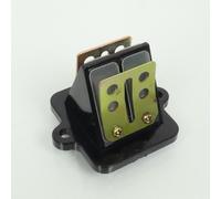 Clapet D Admission Replay Pour Scooter Peugeot 50 Ludix Trend 10p 2004 À 2007 Neuf