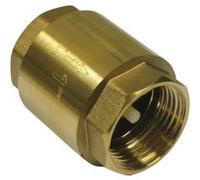 Clapet de non-retour 1 - Master Pumps G