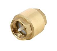 Clapet de retenue toutes positions FF 50x60