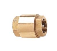 Clapet de retenue universel 1 1/4 10 bars 105-33
