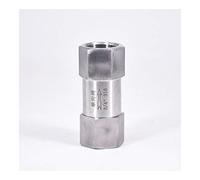 Clapets anti-retour 1/8 1/4 3/8 1/2 3/4 1 pouce BSP femelle 1 voie clapet anti-retour anti-retour en ligne 304 316 acier inoxydable(Ss304,1/8Inch)