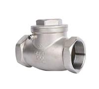 Clapets anti-retour en acier inoxydable, bouche fil d'acier, clapet horizontal SS304 1/2 3/4 1 2 pouces filetage femelle(DN15)