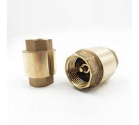 Clapets anti-retour G 1/2 3/4 1 1-1/4 2 pouces Clapet anti-retour DN15 DN20 DN25 DN32 DN50 Filetage en laiton en ligne Clapet anti-retour à ressort à levage vertical 200WOG(DN32)