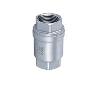 Clapets anti-retour H12W-16P en acier inoxydable 304, filetage femelle, clapet anti-retour vertical à embout fileté(1Inch)