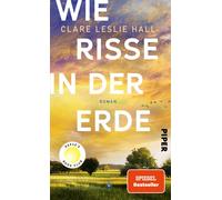 Clare Leslie Ha Wie Risse in der Erde: Roman »Ein Buch, das man vielle (Relié)