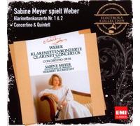 Clarinet Concerto, Concer