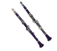 Clarinette En Si Bémol Clarinette si bémol 17 touches | Clarinette professionnelle en si bémol avec corps en ABS 17 touches et 6 anneaux(Blue2)