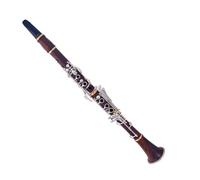 Clarinette Professionnelle En Bois Rouge Palissandre BB Plaqué Or 17 Touches Clarinette Sib M19