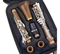 Clarinette Professionnelle En Ébène Sib Plaquée Argent 19 Clés(Guatamalense)