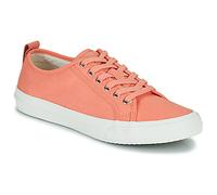 Baskets basses femmes Clarks Roxby Lace Rose 35 1/2