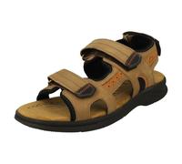Clarks Hommes Ultimate Confort Réglable Sandales - Hapsford Trail