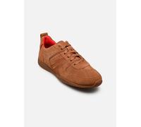 Baskets basses femmes Clarks Meridor Lace Marron 39