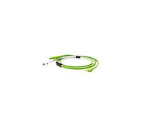 Class B Mini Jack Stereo - 2 RCA 2m50