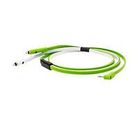 Class B Mini Jack Stereo - 2 RCA 2m50