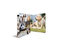 HERMA Classeur à anneaux 'Animals' - chiens, A4, mécanisme à G