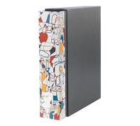 Classeur à anneaux Esselte Dox 2 A4 Multicolore