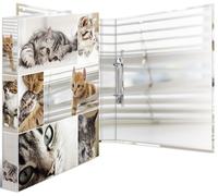 Classeur à anneaux HERMA "Animals" chats DIN A4 2 anneaux mécaniques