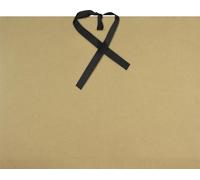 Classeur à dessin Kangaro A3 kraft avec rubans