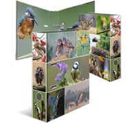 Classeur à motifs HERMA "Le monde animal" DIN A4 Oiseaux du pays