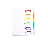 Classeur accordéon à pages arc-en-ciel A4, porte-documents, album de contrôle de maternité en polypropylène, organiseur de rangement, classeur à six compartiments(White)