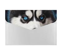 Classeur accordéon Husky aux yeux bleus à 6 poches, organiseur de documents extensible avec étiquettes, dossiers de documents de voyage, enveloppes en plastique avec fermeture à pression, 33 x 23 cm