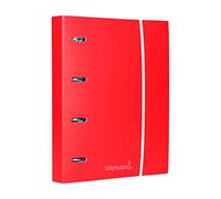 Classeur de rechange en papier A4 avec cadre 5 mm 120 feuilles 80 g doublé 4 anneaux 40 mm ronds