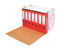 Classeur Esselte pour dossiers 525 x 338 x 306 mm