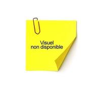 Classeur Exacompta à levier 32x29cm PVC Dos 50mm Anis